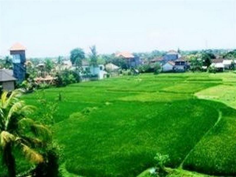 Nuriani Guest House Ubud  Exterior photo